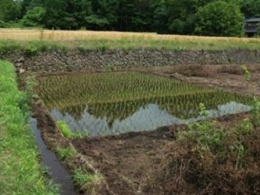 山梨県北杜市長坂町白井沢の農地