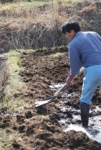 耕作放棄された農地を再生