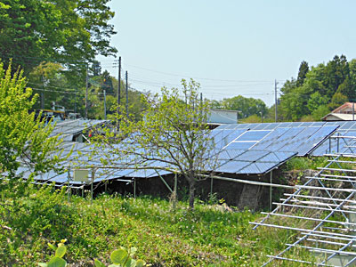 小尾平太陽光発電所