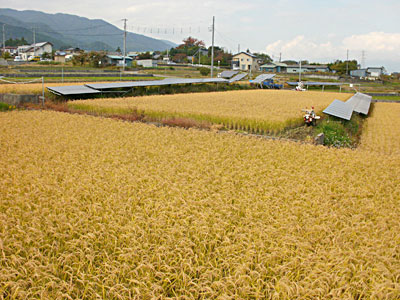 徳島堰太陽光発電所